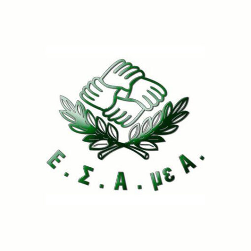 Εθνική Συνομοσπονδία Ατόμων με Αναπηρία