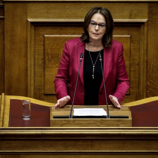 Βουλευτής ΣΥ.ΡΙΖ.Α Ν. Μαγνησίας, κ. Παπανάτσιου Αικατερίνη